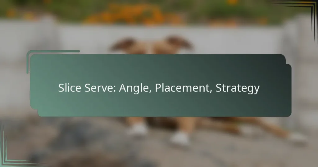 Slice Serve: Angle, Placement, Strategy